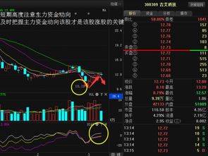 吉艾科技300309主力蠢蠢欲动,反转 还是二次探底