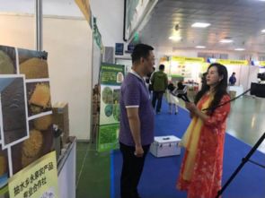 中国 吉林特色产品渠道创新发展峰会隆重召开