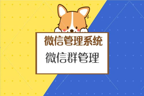 吉林省企业内部微信群管理软件软件哪家好